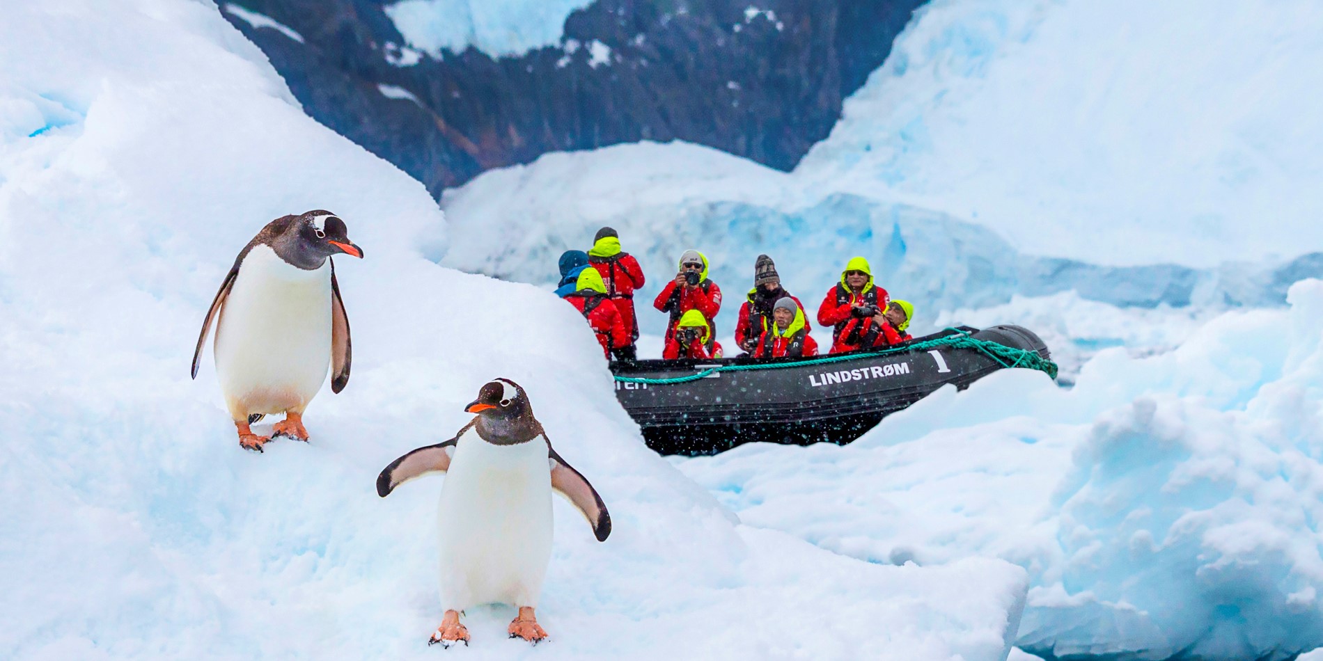 Zwei Pinguine auf einem Eisberg. Im Hintergrund ein RIB-Boot von Hurtigruten mit vier Personen, die Fotos von den Tieren machen.
