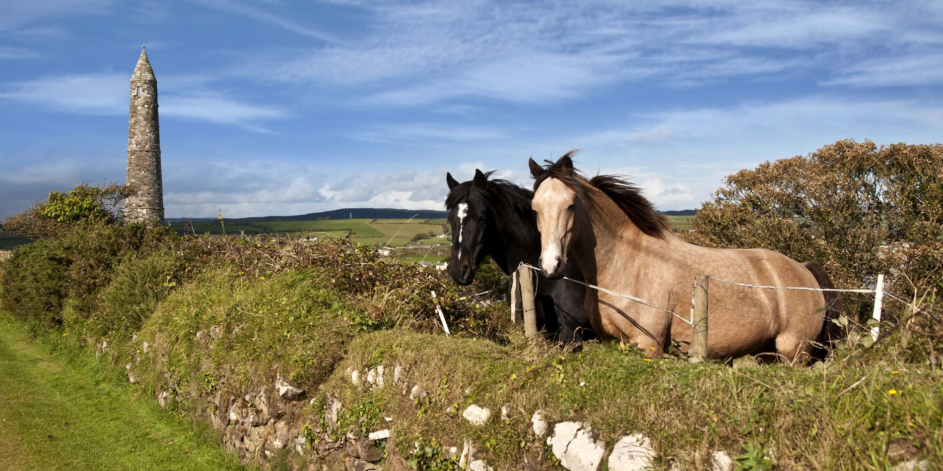 Zwei schöne irische Pferde in der schönen Ardmore Landschaft der Grafschaft Waterford in Irland.