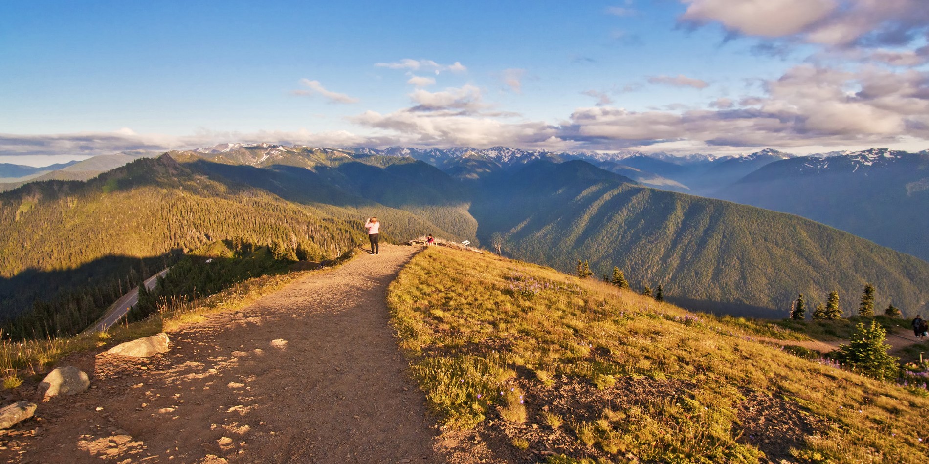 Person hiking in the Hurricane Ridge Olympic National Park.
