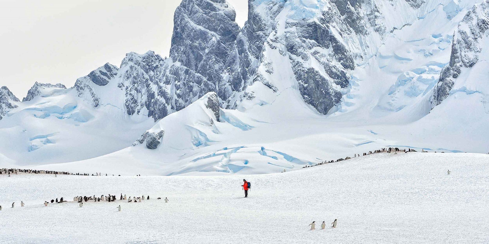 Mann mitten in Pinguinkolonie in riesiger Antarktislandschaft