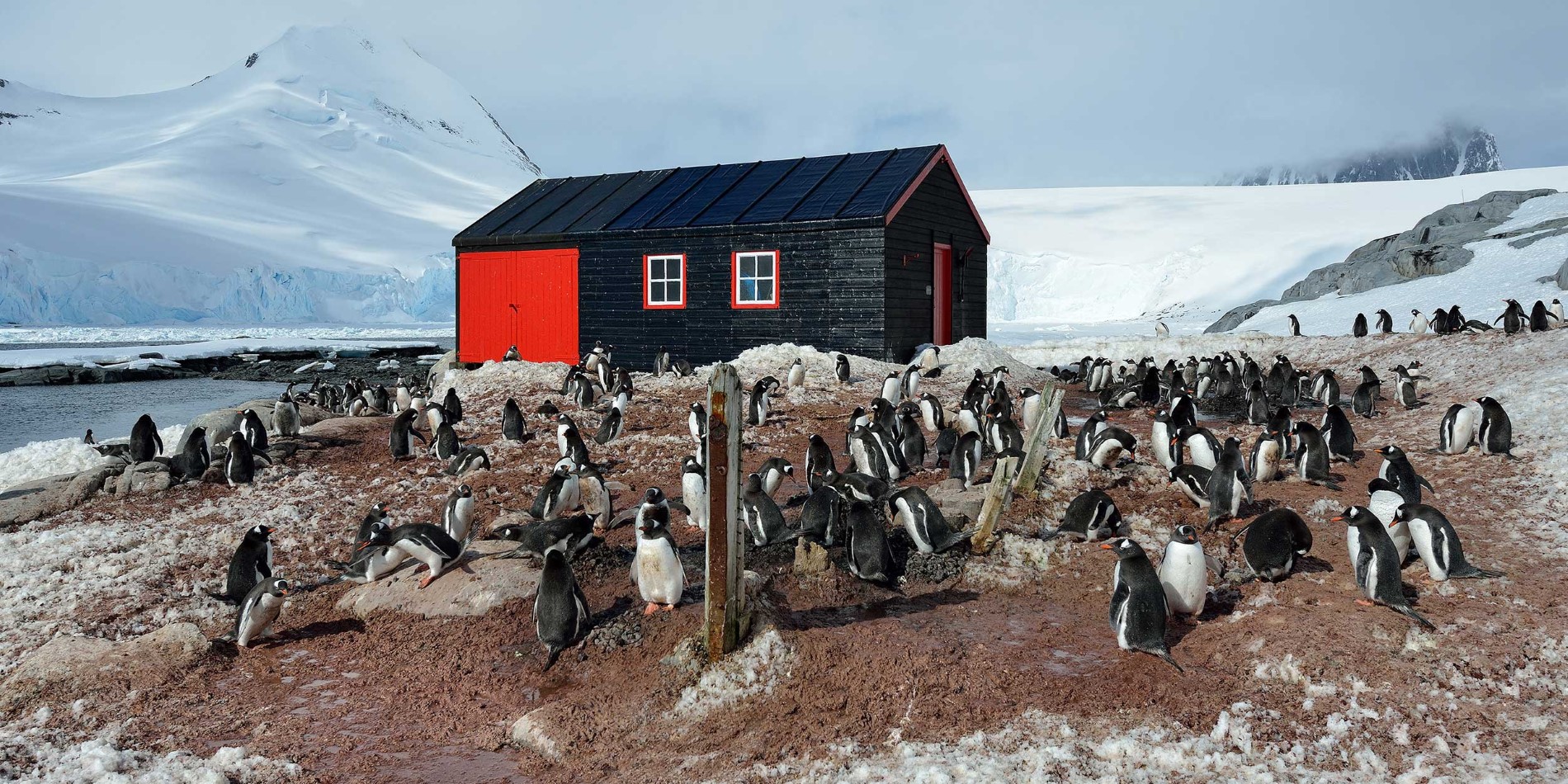 Landscape and penguins in Port Lockroy Antarctica
