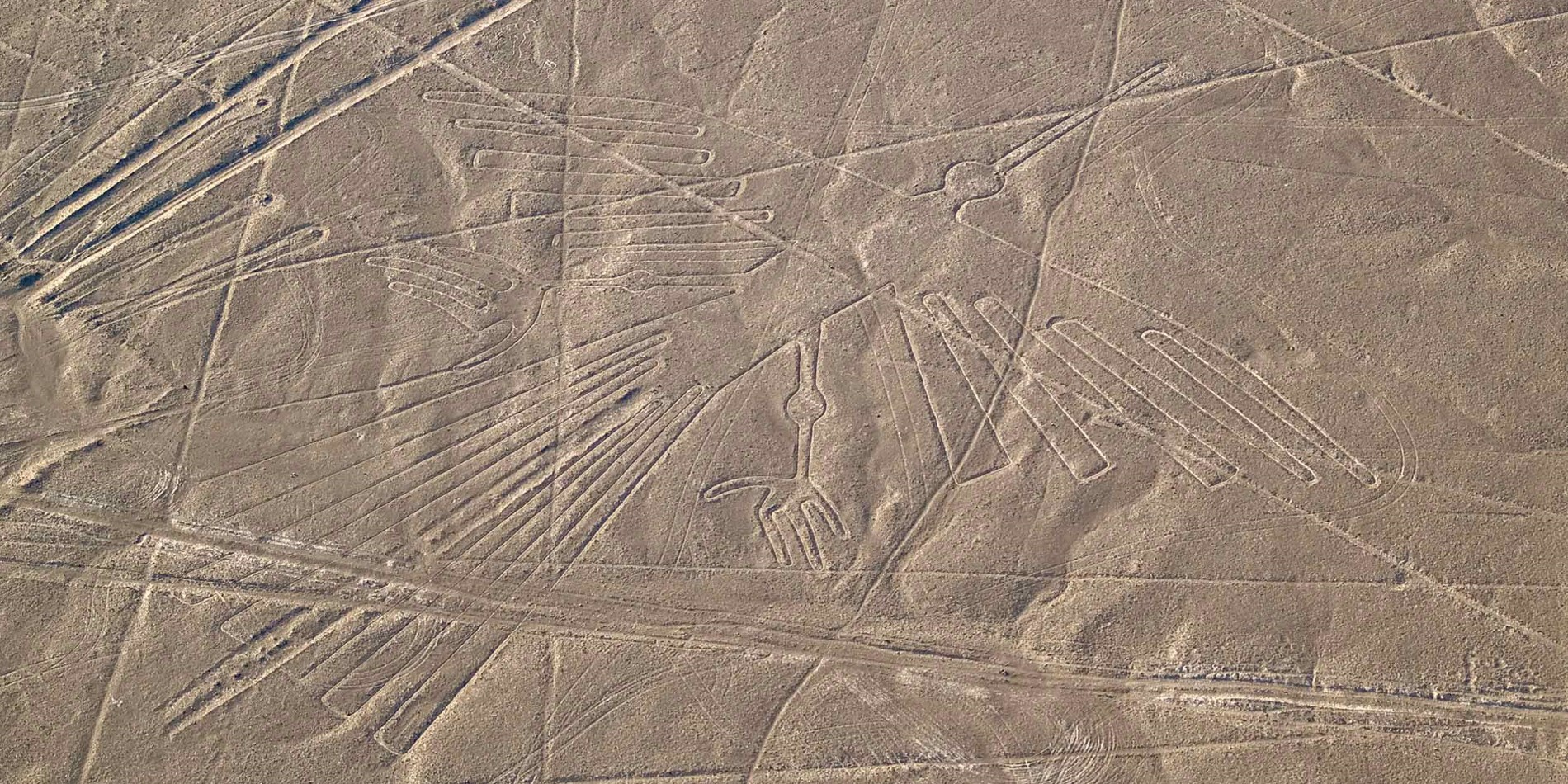 Condor geoglyph, Nazca-Linien, Peru
