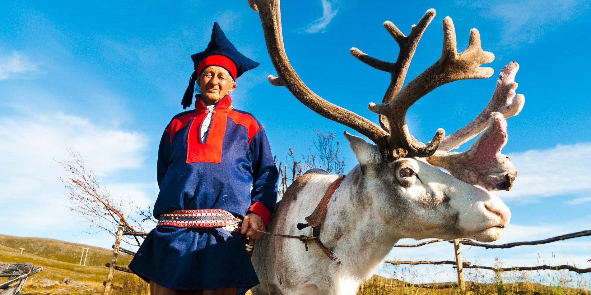 Rentiere sind lebenswichtig für die Sami Kultur